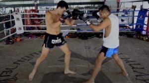 Muay Thai Stance