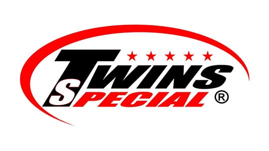 Twins Special Logo