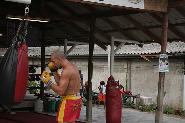 Muay Thai Punch Bag