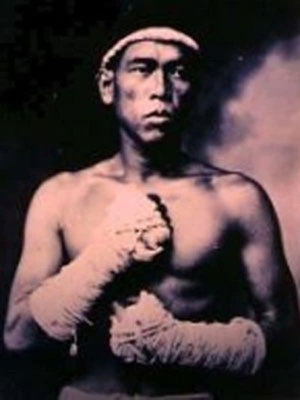 Tiger King of Muay Thai
